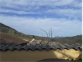 Image du bien UBI426133516
